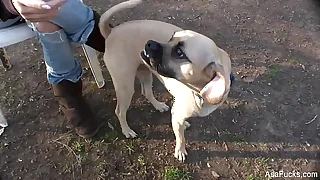 2221 ass porn videos